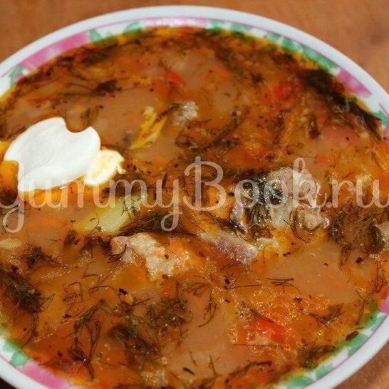 Рецепт супа харчо в мультиварке