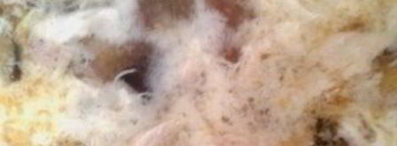 суп куриный с баклажанами и яйцом. Шаг 6