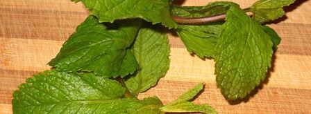 холодный мятный суп-пюре с яблоком и огурцом. Шаг 4