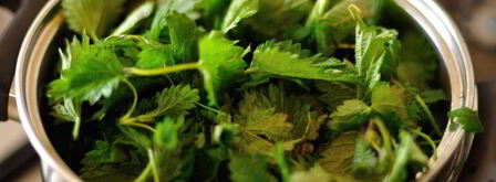 суп-пюре из крапивы. Шаг 4