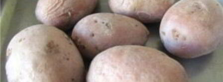 свекольник холодный. Шаг 3