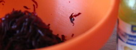 свекольный суп со щавелем и шпинатом. Шаг 7