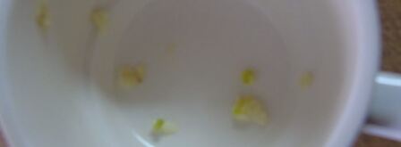 тирольский суп с блинами. Шаг 8