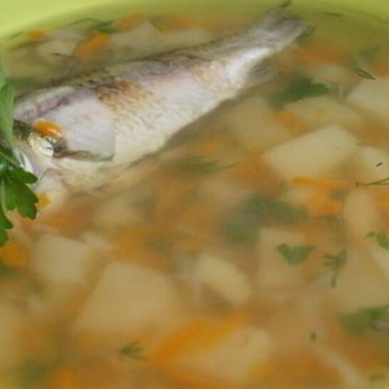 Рецепт классической ухи из карася