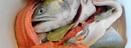 рыбный суп уха из кеты. Шаг 4