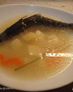 Уха из ряпушки