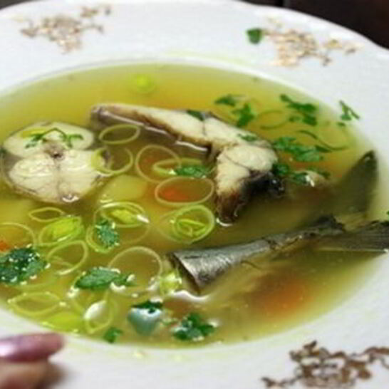Рецепт ухи из скумбрии с зеленью