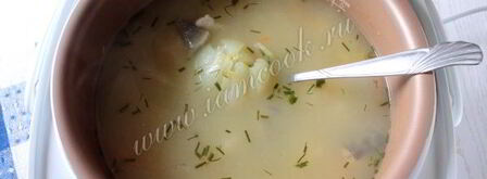 уха из сома в мультиварке. Шаг 10