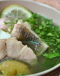 Уха из стерляди