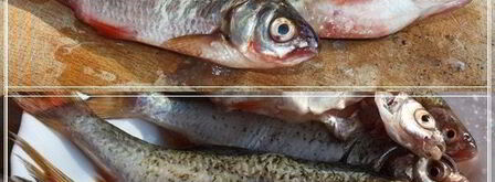 уха по-царски из петуха. Шаг 9