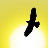 Юдаева Надя