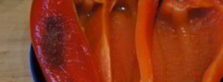 сырные блины из сулугуни. Шаг 8