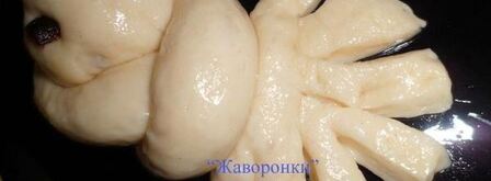 булочки жаворонки. Шаг 6