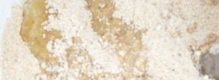 чизкейк с творогом и сгущенкой. Шаг 3