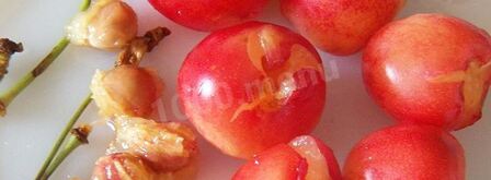 чизкейк сплошное наслажденье. Шаг 8