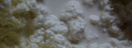 пряный чизкейк. Шаг 8