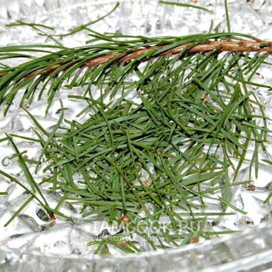 Рецепт английского рождественского кекса