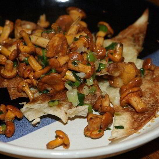 Рецепт грибов с пармезаном и зеленым луком на чипсах из лаваша