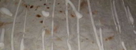 лаваш с грибами и сыром. Шаг 3