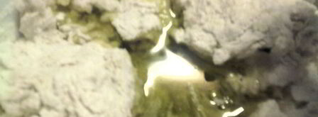 фокачча с бальзамическими помидорами. Шаг 4