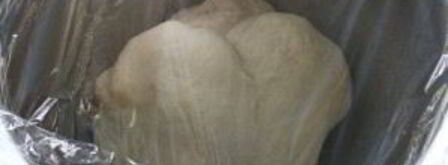 фокачча с маслинами и розмарином. Шаг 5