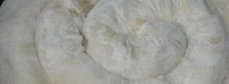 ачма абхазская. Шаг 3