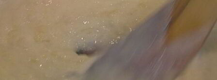 рыбный пирог с креветками. Шаг 7