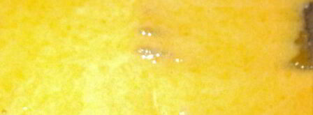 яблочный пирог. Шаг 3