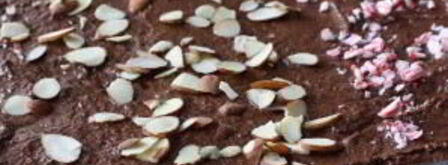 шоколадные пирожные с миндалем. Шаг 6