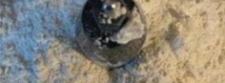 пицца с моцареллой и томатным соусом. Шаг 3