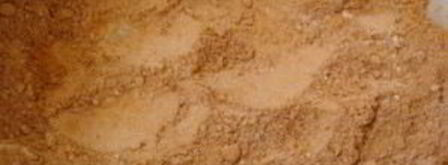 постная коврижка с какао монастырская. Шаг 3