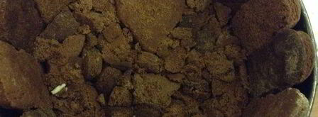 шарлотка из имбирных пряников. Шаг 3