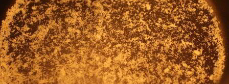 шарлотка с черной смородиной из мультиварки. Шаг 4