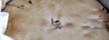 шарлотка с яблоками. Шаг 6