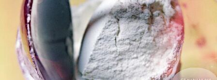 шарлотка в духовке. Шаг 5