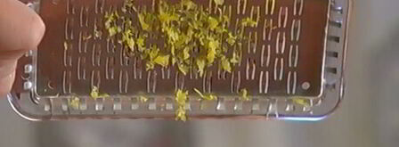 лимонные сырники с соусом из маскарпоне. Шаг 6