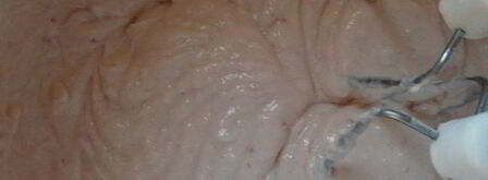 медовый торт. Шаг 8