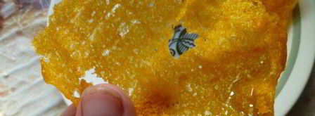 тыквенные тонкие вафли с домашней сгущенкой. Шаг 11