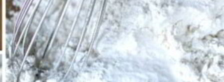 вафли с беконом. Шаг 3