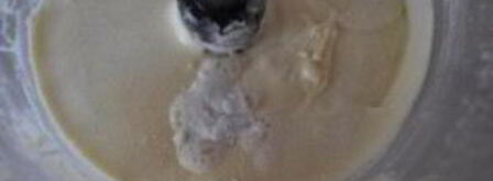 венские вафли в электровафельнице. Шаг 5