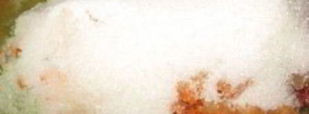 аджика из кабачков на зиму. Шаг 5