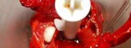 аджика из острого перца. Шаг 5