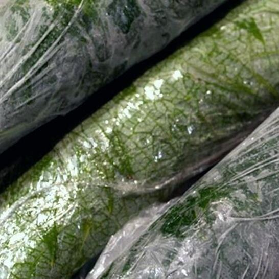 Рецепт долмы на зиму