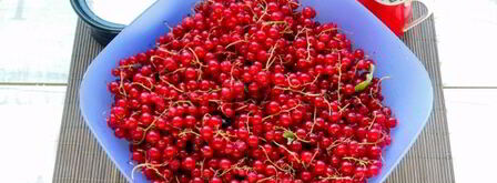 джем из красной смородины. Шаг 5