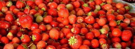 ленивый клубничный джем. Шаг 6