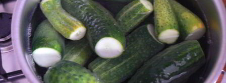 хрустящие огурцы. Шаг 4