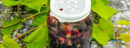 компот из черного винограда на зиму. Шаг 14