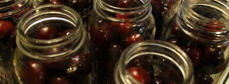 компот из слив на зиму. Шаг 5