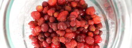 вишнево-клубничный компот с мятой на зиму. Шаг 3