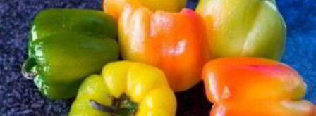 лечо из перца и помидоров. Шаг 3